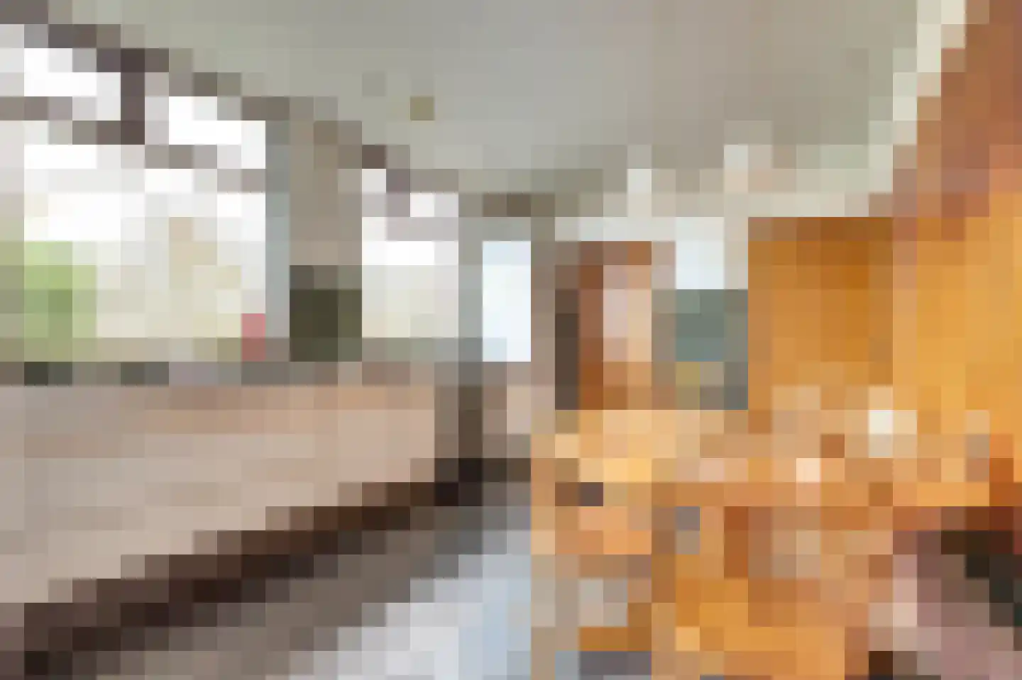 Souburghlaan 25 Waddinxveen thumbnail 13