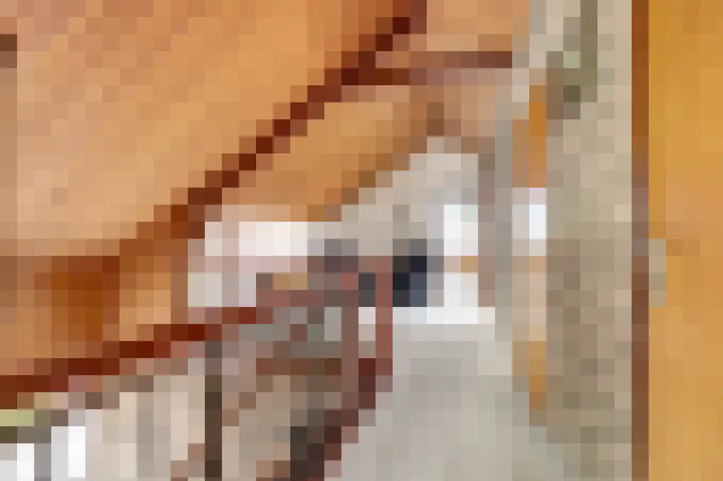 Souburghlaan 25 Waddinxveen thumbnail 23