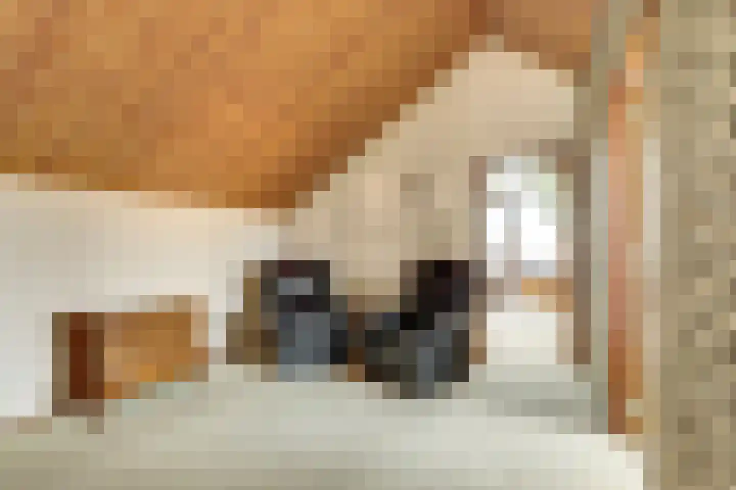 Souburghlaan 25 Waddinxveen thumbnail 24