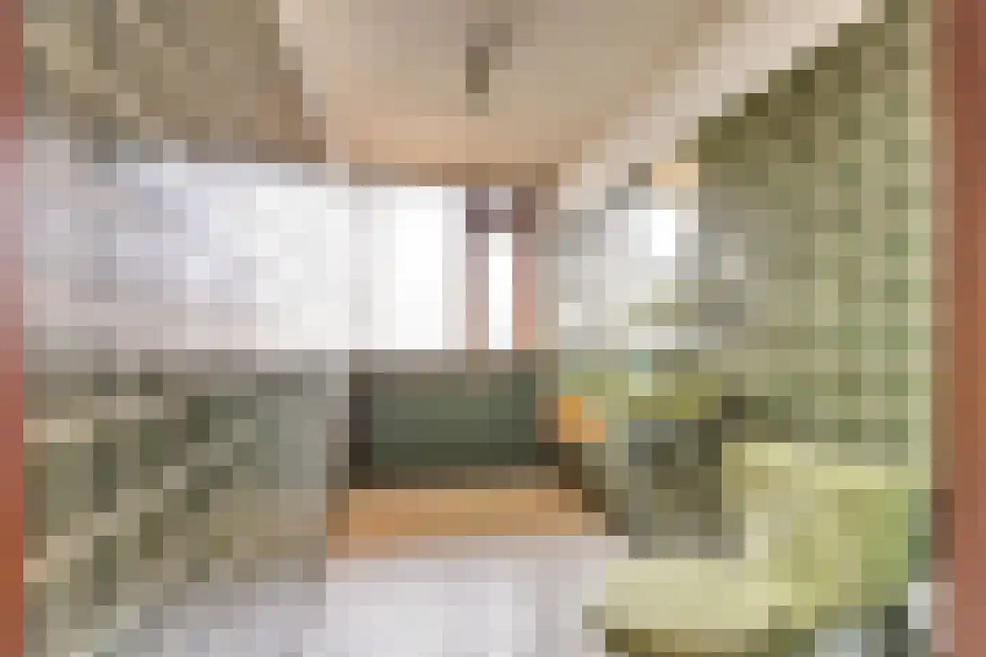 Souburghlaan 25 Waddinxveen thumbnail 27