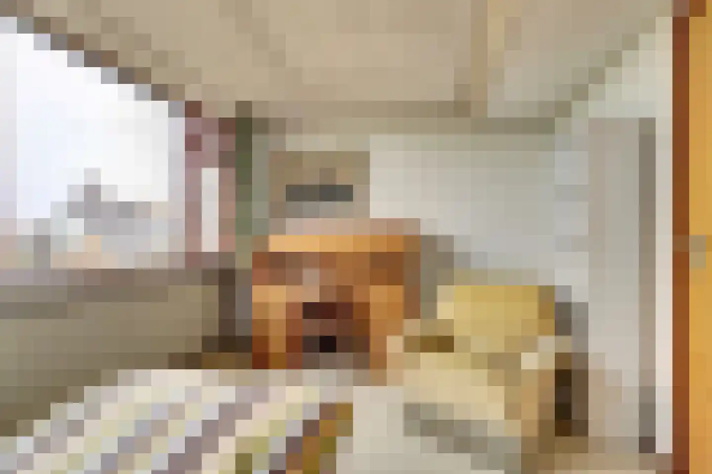 Souburghlaan 25 Waddinxveen thumbnail 29