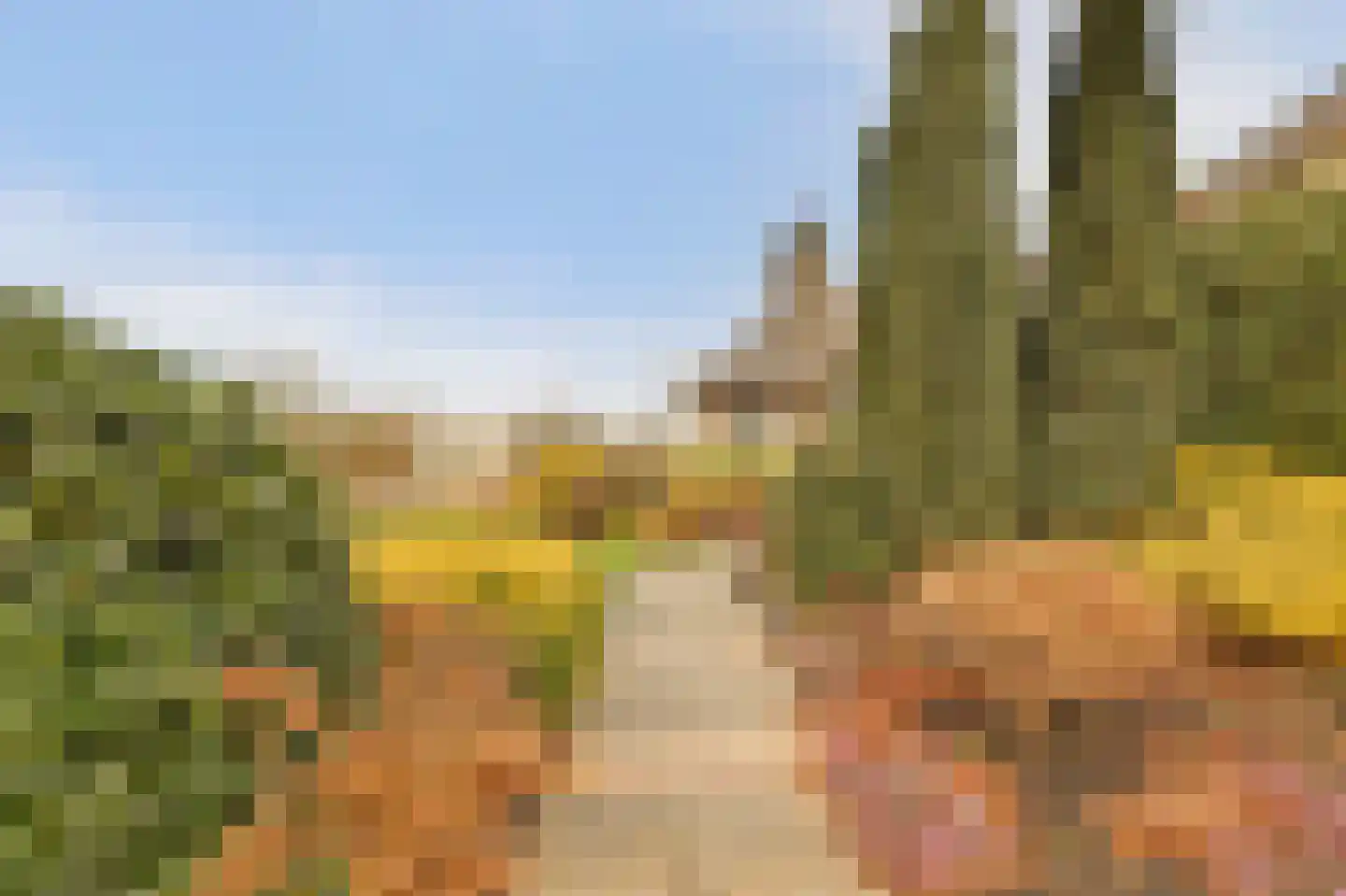 Souburghlaan 25 Waddinxveen thumbnail 37