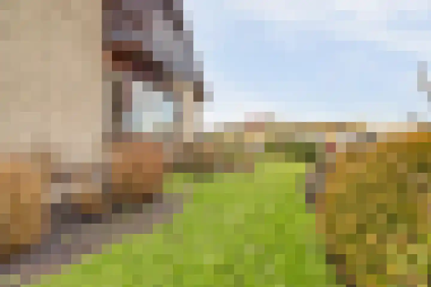 Souburghlaan 25 Waddinxveen thumbnail 44