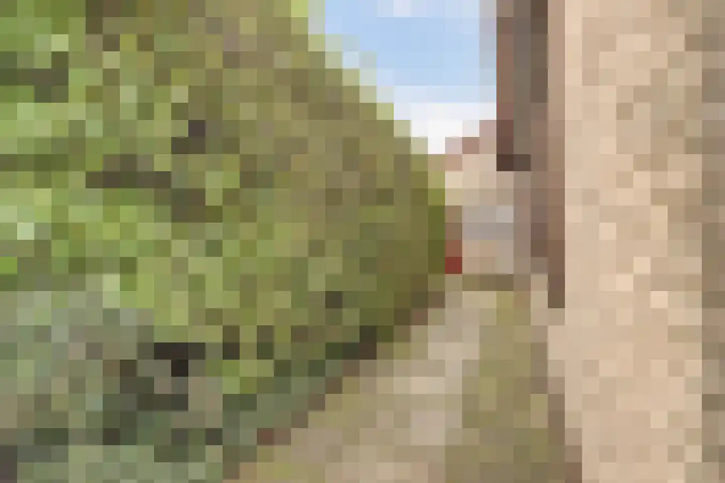 Souburghlaan 25 Waddinxveen thumbnail 46
