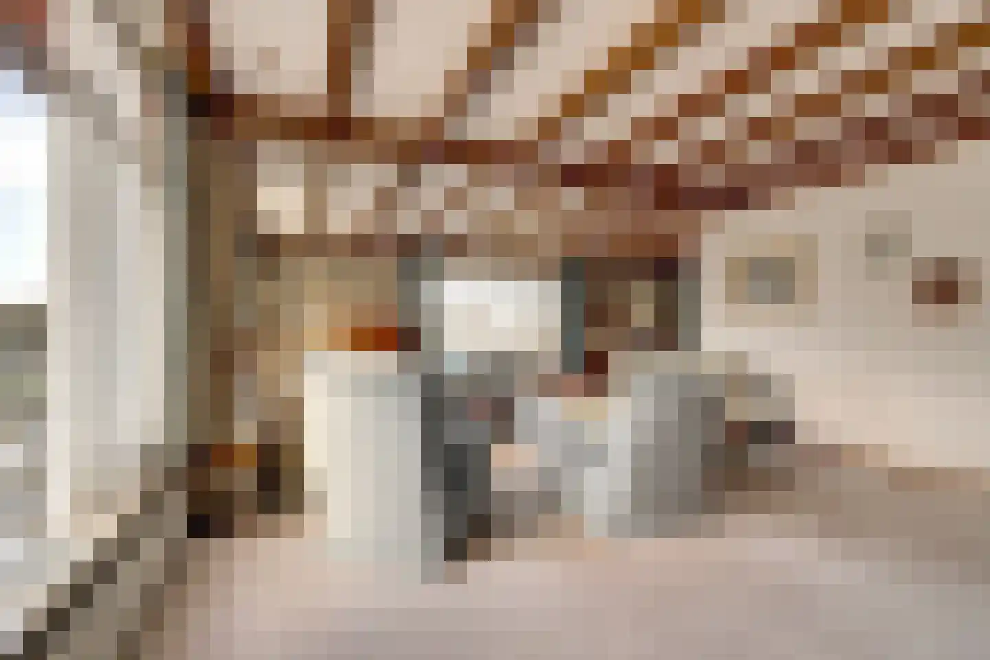 Souburghlaan 25 Waddinxveen thumbnail 9