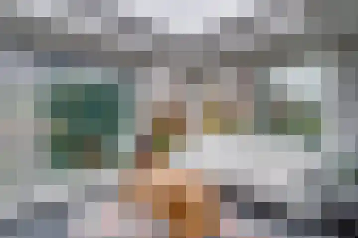 Souburghlaan 9 Waddinxveen thumbnail 10