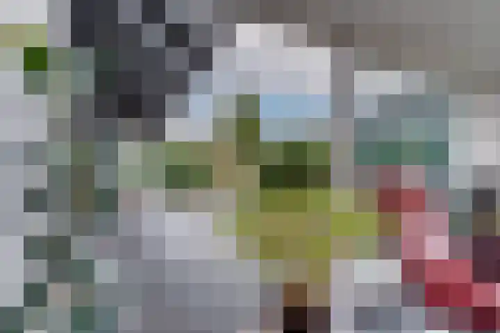 Souburghlaan 9 Waddinxveen thumbnail 11