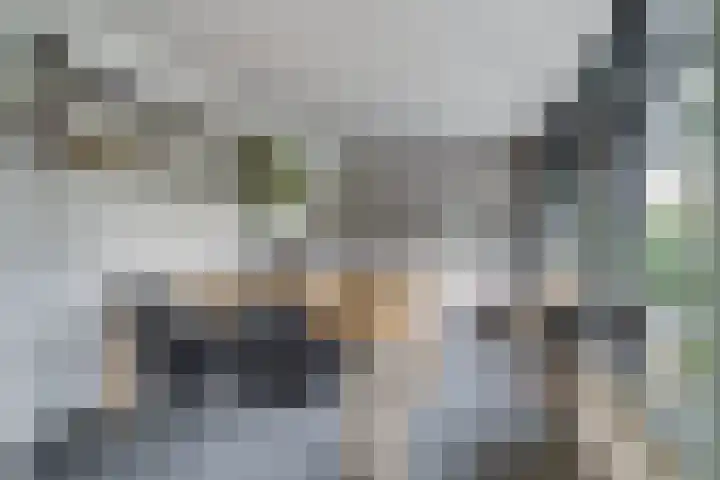 Souburghlaan 9 Waddinxveen thumbnail 12