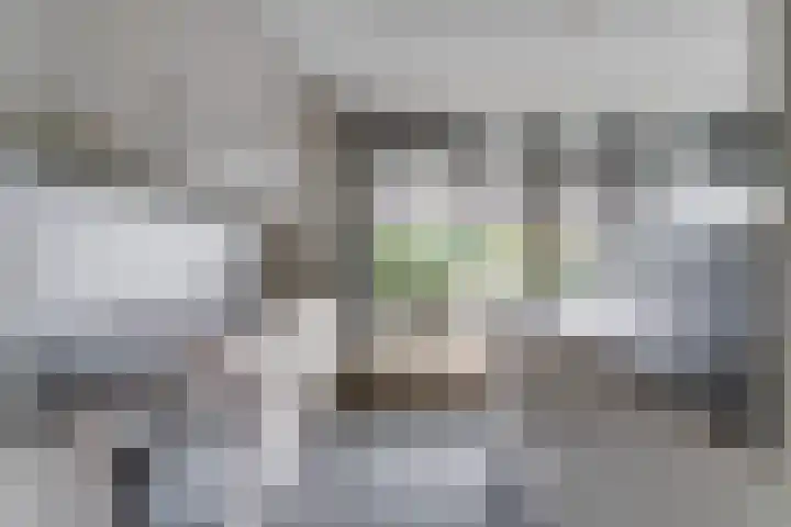 Souburghlaan 9 Waddinxveen thumbnail 14