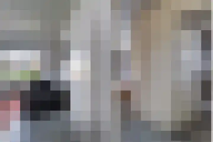 Souburghlaan 9 Waddinxveen thumbnail 16