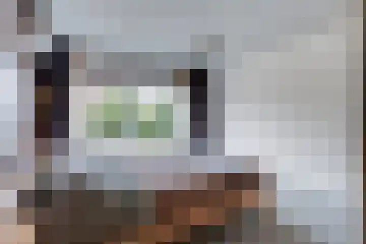 Souburghlaan 9 Waddinxveen thumbnail 17