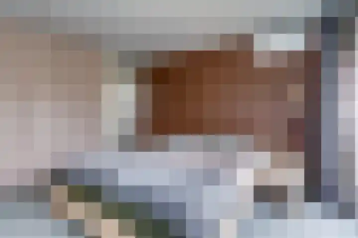 Souburghlaan 9 Waddinxveen thumbnail 18