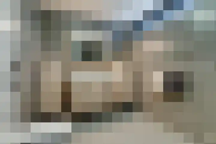 Souburghlaan 9 Waddinxveen thumbnail 19