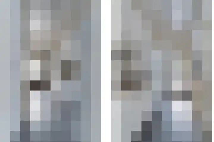 Souburghlaan 9 Waddinxveen thumbnail 21