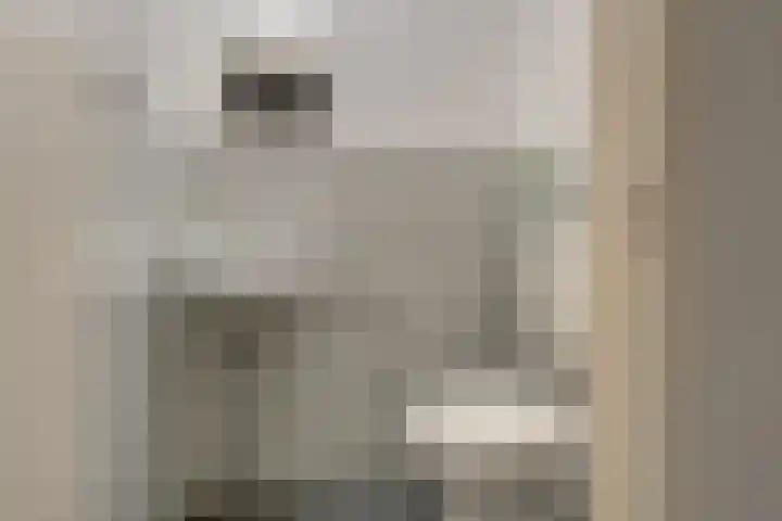 Souburghlaan 9 Waddinxveen thumbnail 27