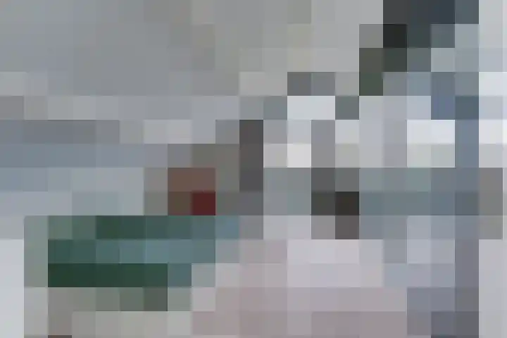 Souburghlaan 9 Waddinxveen thumbnail 31