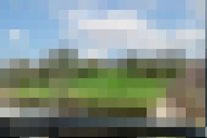 Souburghlaan 9 Waddinxveen thumbnail 33