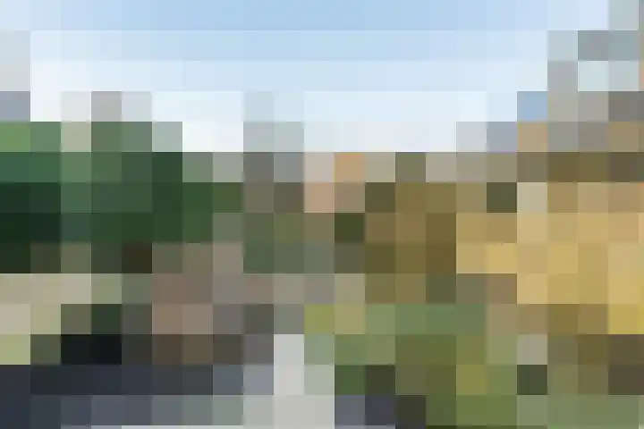 Souburghlaan 9 Waddinxveen thumbnail 44