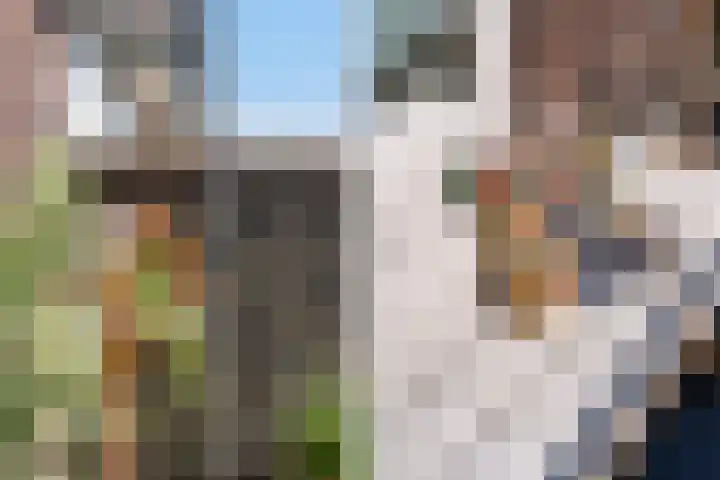 Sourystraat 21 B Rotterdam thumbnail 30