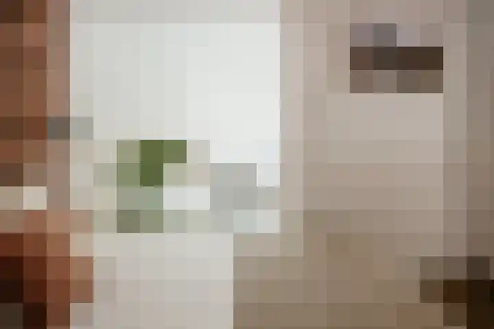 Sourystraat 21 B Rotterdam thumbnail 31