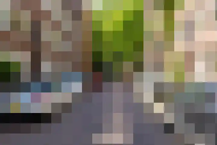 Sourystraat 21 B Rotterdam thumbnail 44