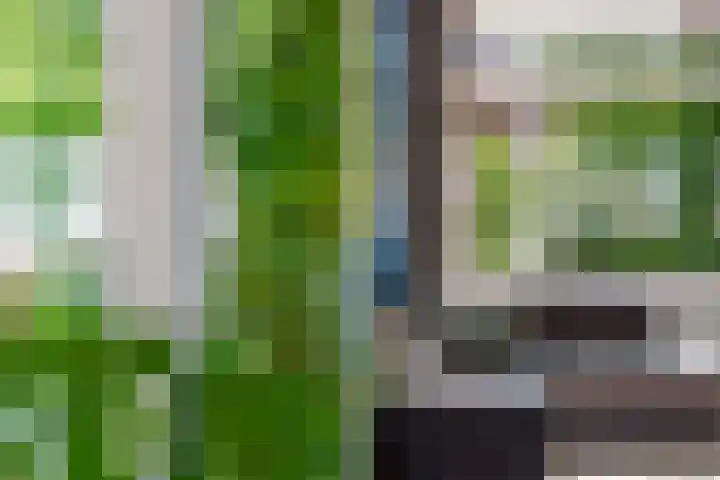 Sourystraat 21 B Rotterdam thumbnail 9