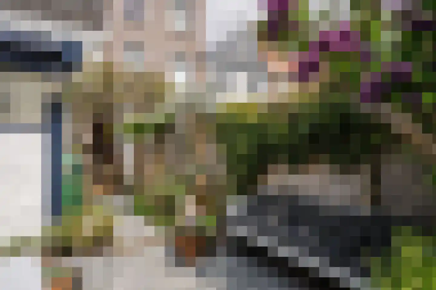 Soutmanstraat 16 Haarlem thumbnail 28