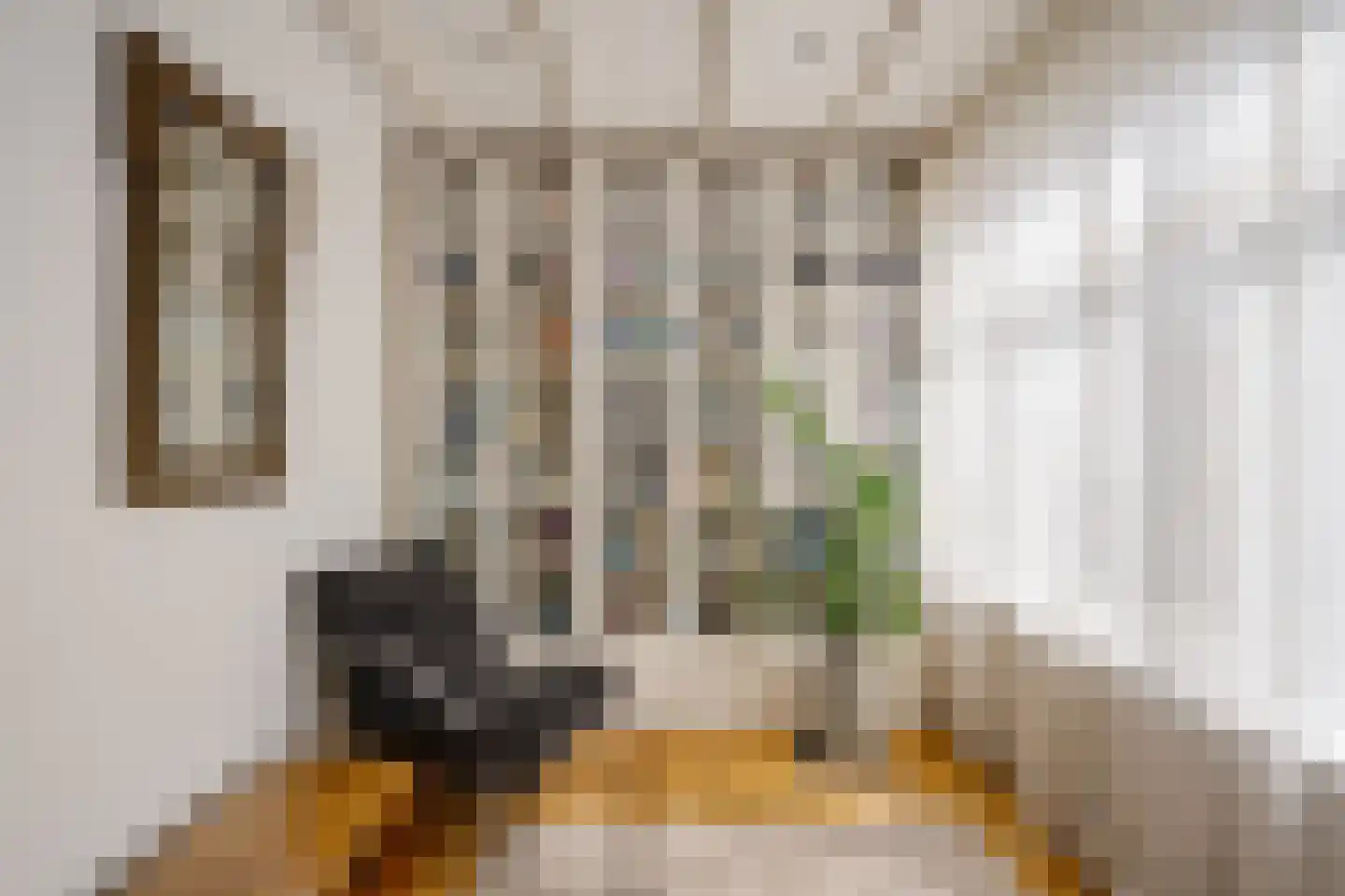 Soutmanstraat 16 Haarlem thumbnail 33