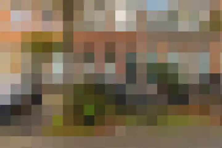 Soutmanstraat 37 Haarlem thumbnail 35