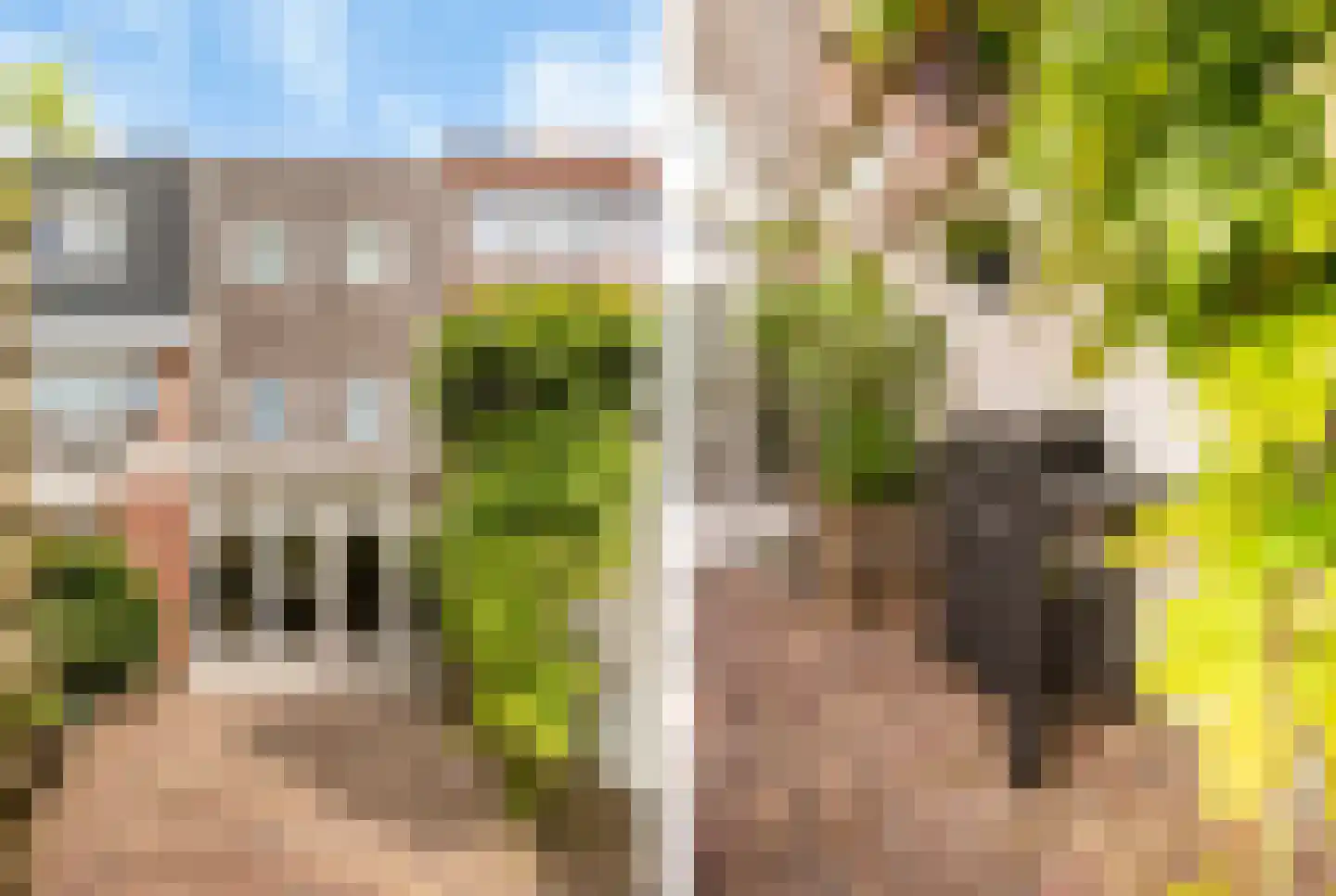 Soutmanstraat 38 Haarlem thumbnail 16