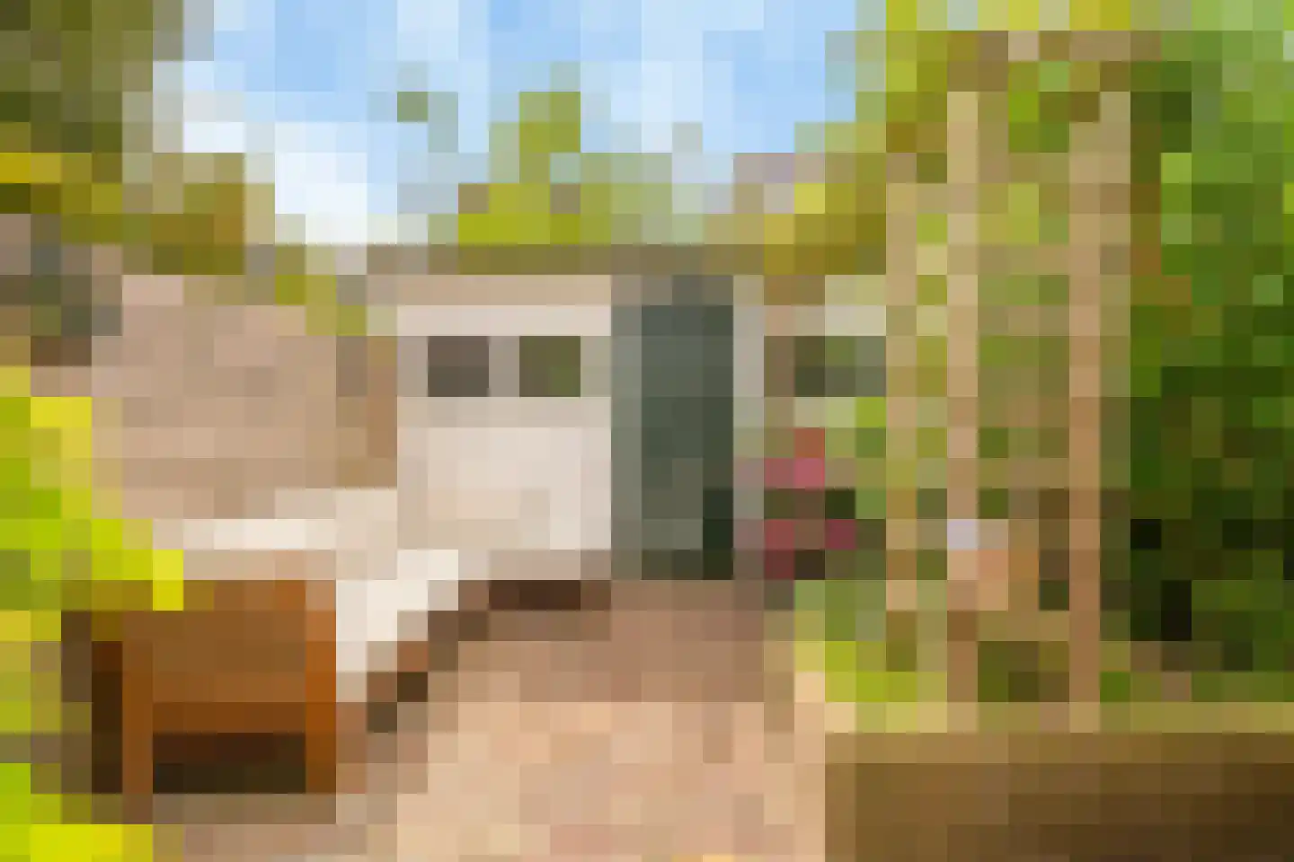 Soutmanstraat 38 Haarlem thumbnail 19