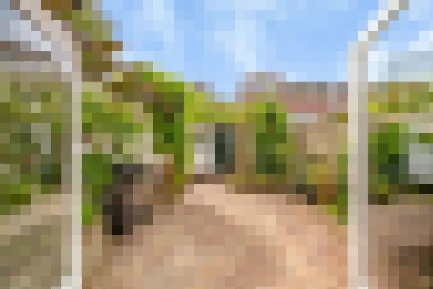 Soutmanstraat 38 Haarlem thumbnail 5
