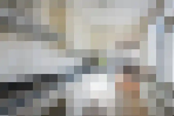 Soutmanstraat 8 Haarlem thumbnail 8