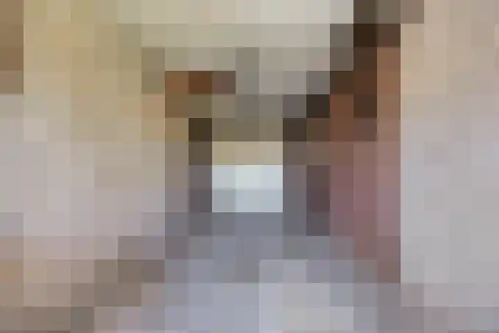 Soutsweg 13 Stramproy thumbnail 29