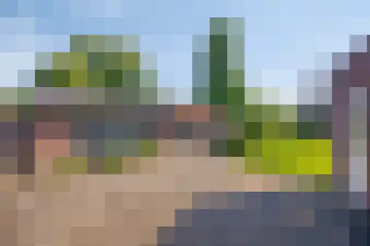 Soutsweg 13 Stramproy thumbnail 32