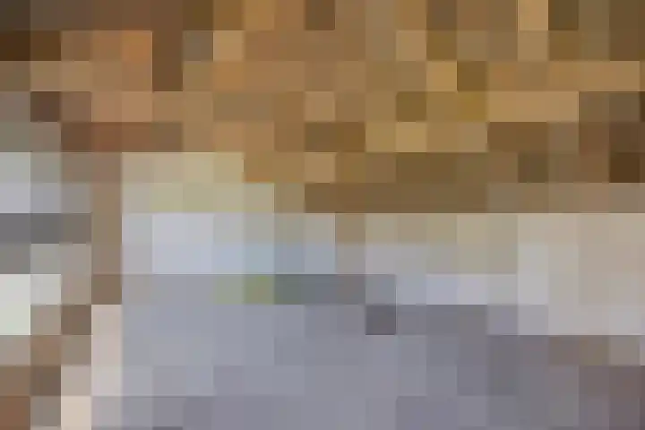 Soutsweg 13 Stramproy thumbnail 33