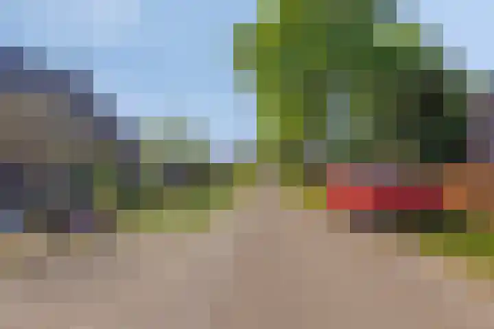 Soutsweg 13 Stramproy thumbnail 45