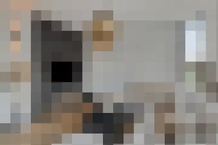 Souverijnsakker 14 Veghel thumbnail 11