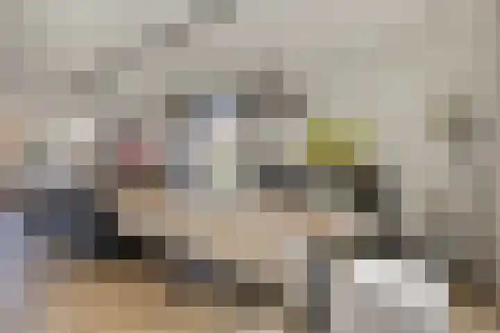 Souverijnsakker 14 Veghel thumbnail 12