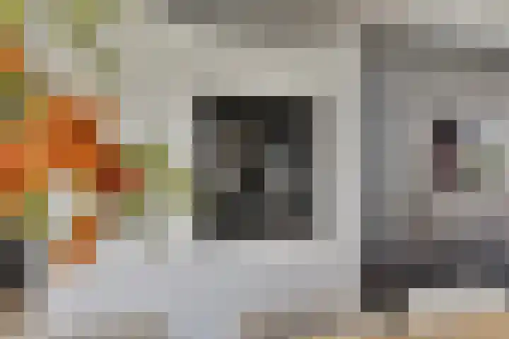 Souverijnsakker 14 Veghel thumbnail 16