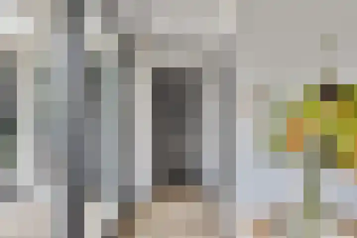 Souverijnsakker 14 Veghel thumbnail 18