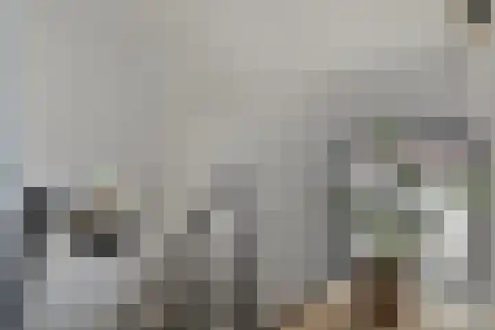 Souverijnsakker 14 Veghel thumbnail 21