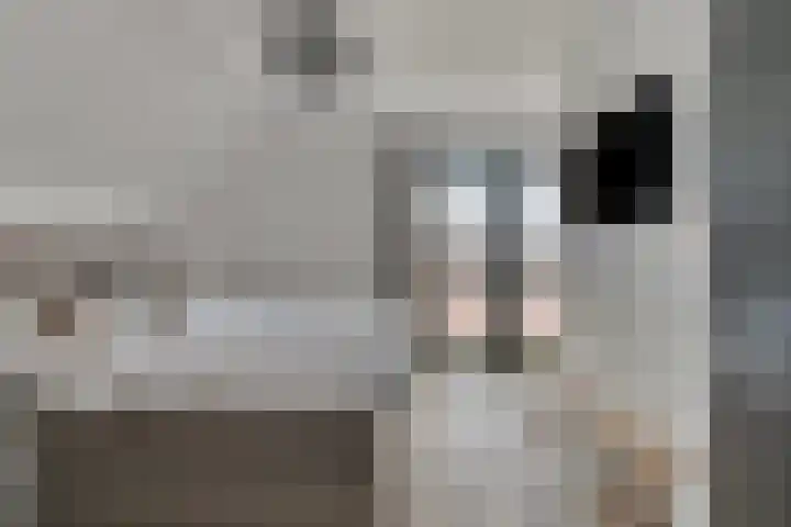 Souverijnsakker 14 Veghel thumbnail 23