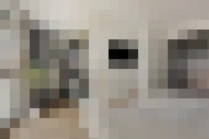 Souverijnsakker 14 Veghel thumbnail 25