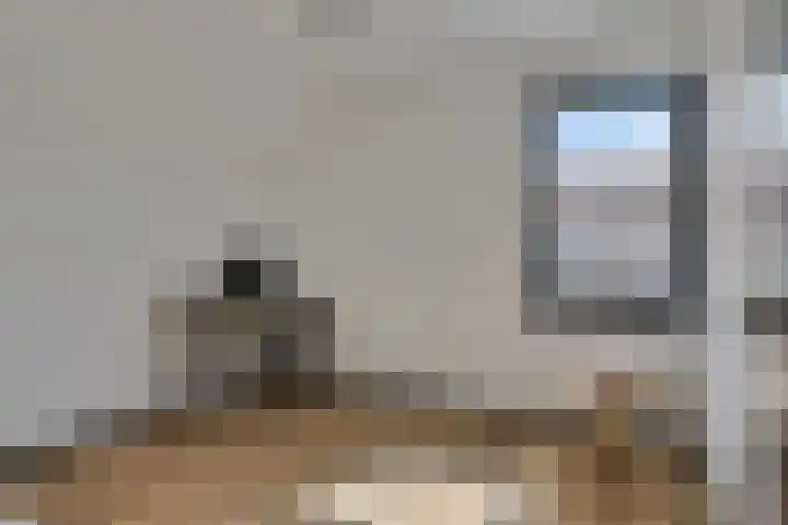 Souverijnsakker 14 Veghel thumbnail 28