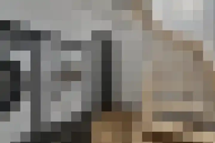 Souverijnsakker 14 Veghel thumbnail 30