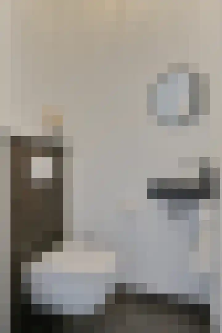 Souverijnsakker 14 Veghel thumbnail 31