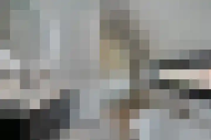 Souverijnsakker 14 Veghel thumbnail 33