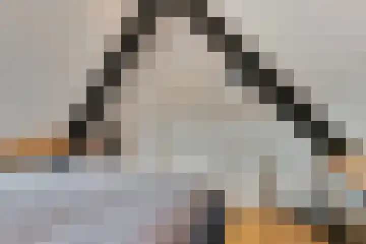 Souverijnsakker 14 Veghel thumbnail 38