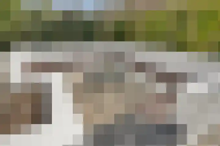 Souverijnsakker 14 Veghel thumbnail 40